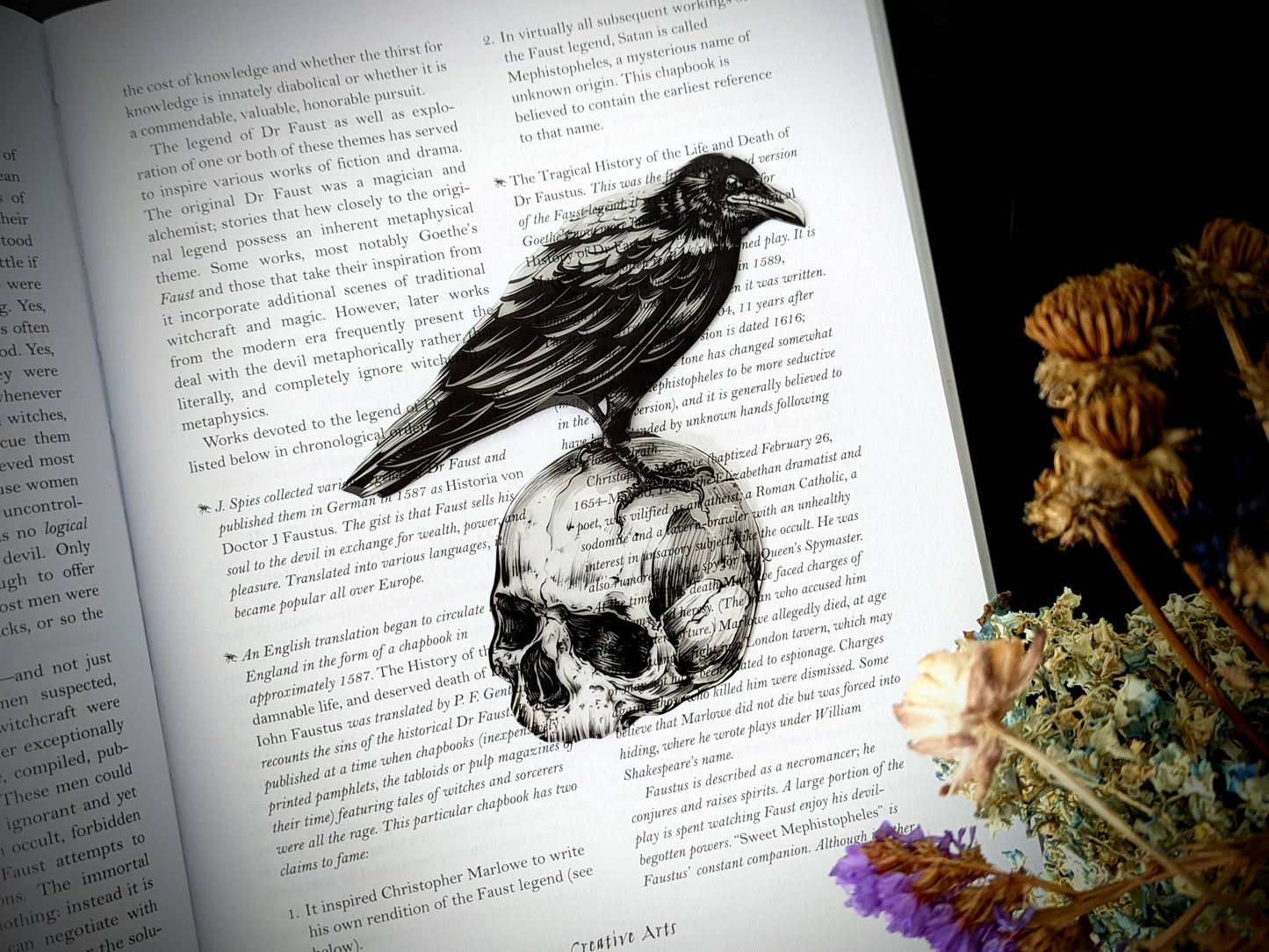 Little Black Bats - Clear Bookmark - Crow on Skull Goth Gothic